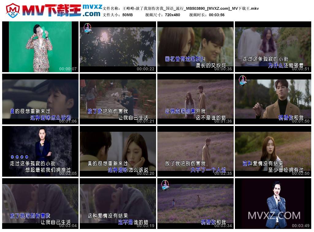 王峰峰-放了我别伤害我_国语_流行_MB503890